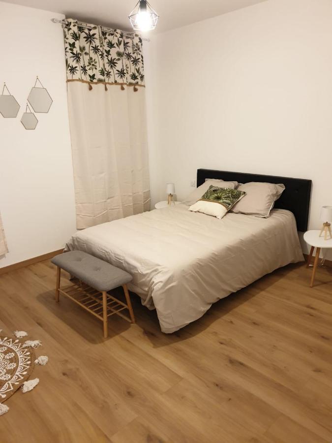 Appartement Gaudi Centre Historique פרפיניין מראה חיצוני תמונה