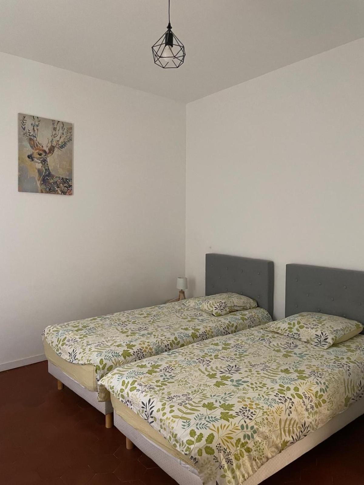 Appartement Gaudi Centre Historique פרפיניין מראה חיצוני תמונה